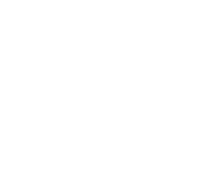 zenith logistics logo